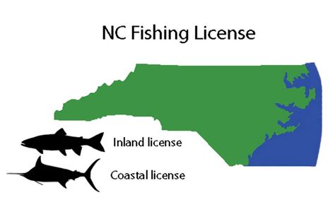 Purchase a North Carolina Coastal Recreational Fishing License.